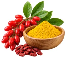 {{OFFER_NAME}}: Berberin aus der Berberitze