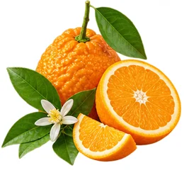 {{OFFER_NAME}}: Bitterorange, Frucht von Citrus aurantium