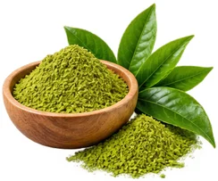 {{OFFER_NAME}}: grüner Tee als getrocknetes Blatt