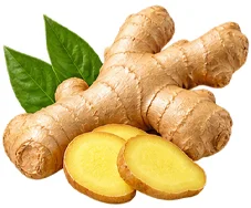 {{OFFER_NAME}}: Ingwerwurzel, getrocknet und gemahlen
